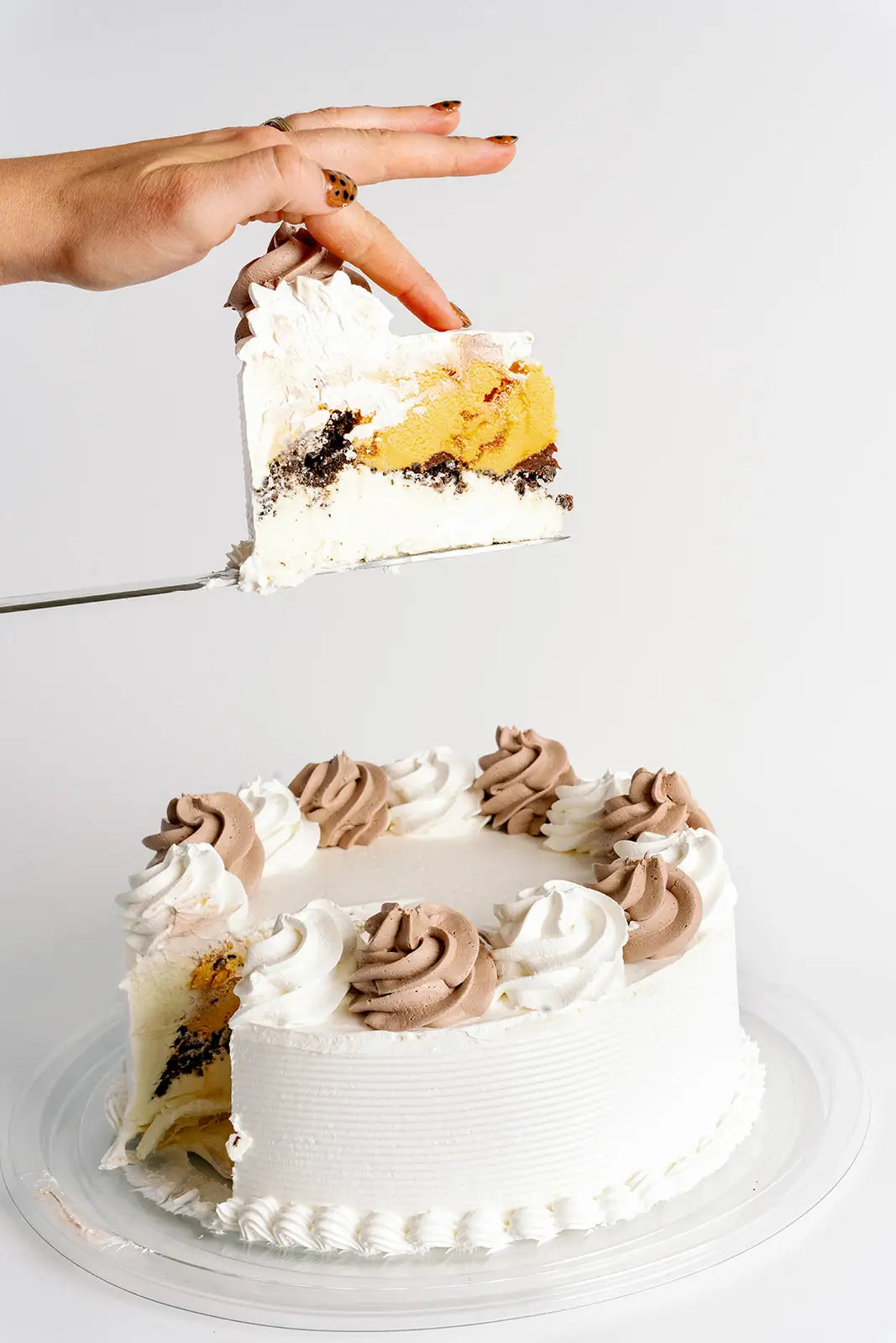 Slice of ice cream cake elevated above the cake showing the inside on a white brackground
